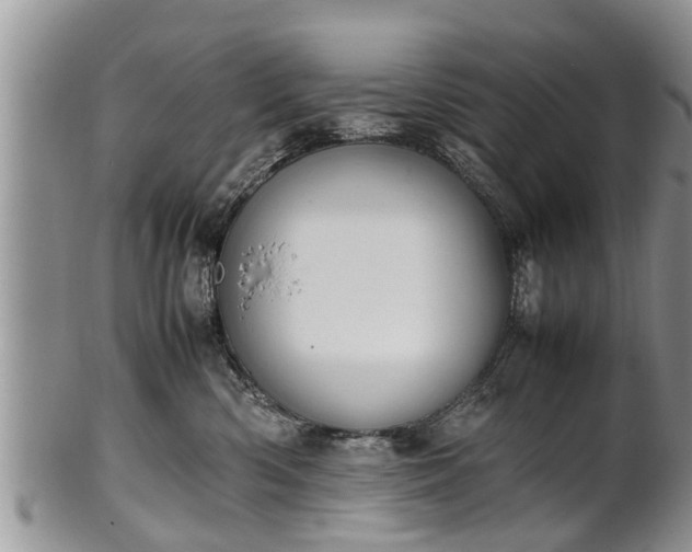 X0000102270426200808011432