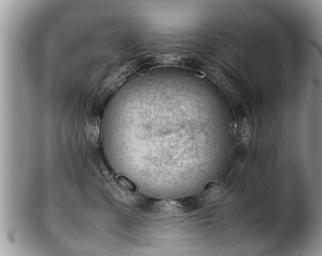 X0000102270427200808011432