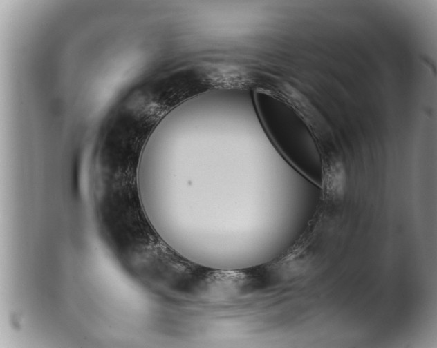 X0000102270429200808011432