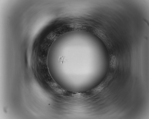 X0000102270430200808011432
