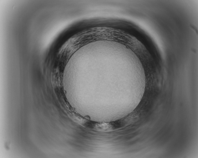 X0000102270431200808011431