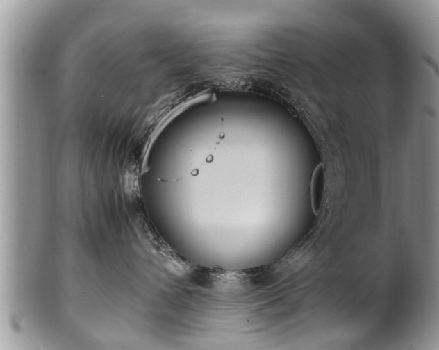 X0000102270432200808011431
