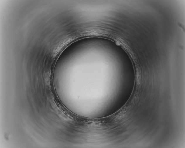X0000102270434200808011431