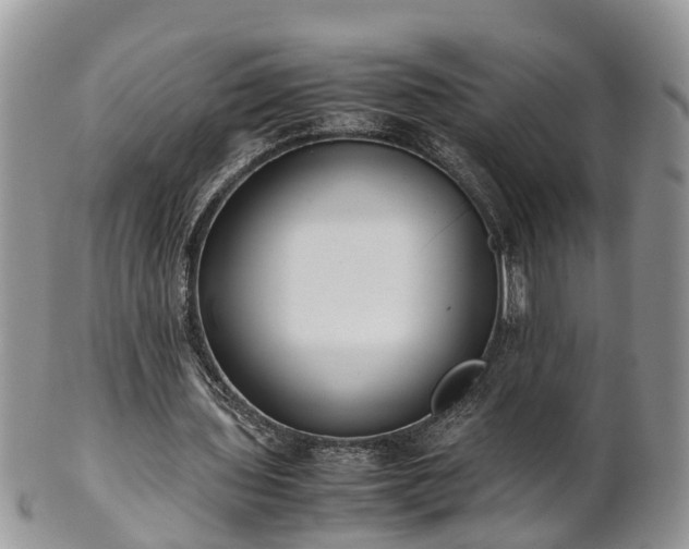 X0000102270435200808011431
