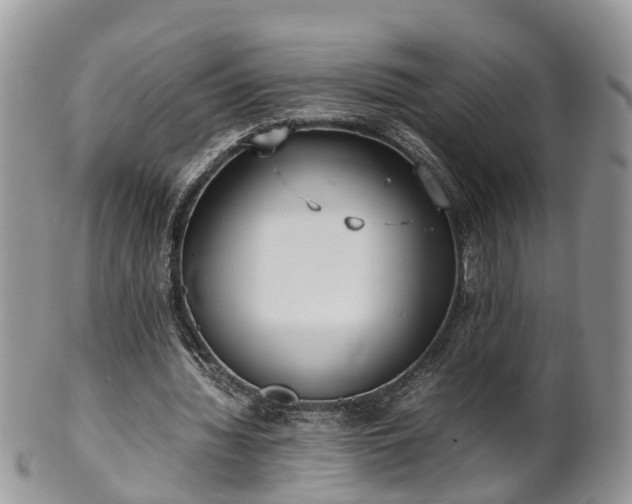 X0000102270436200808011431