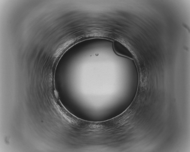 X0000102270437200808011431