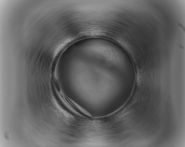 X0000102270438200808011431