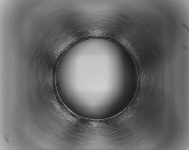 X0000102270442200808011431
