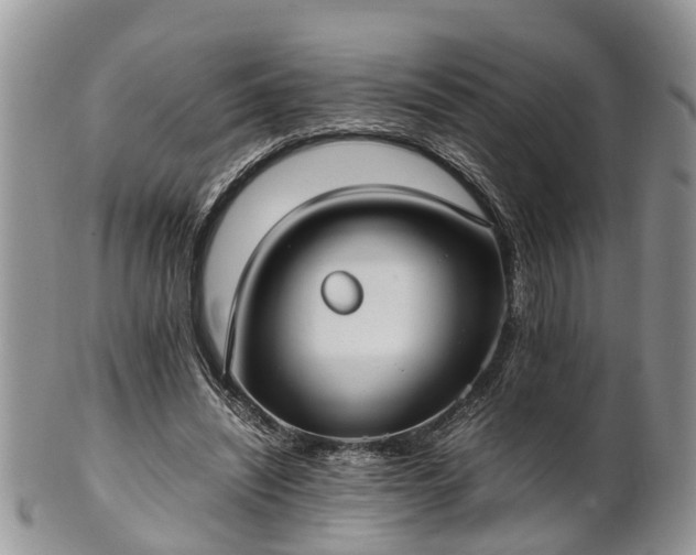 X0000102270444200808011431
