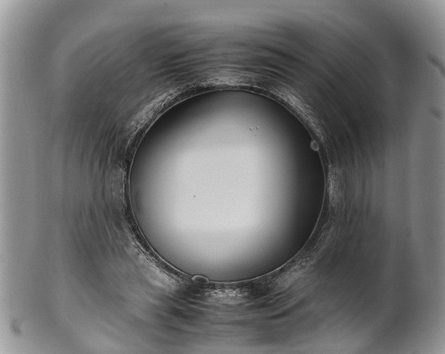 X0000102270445200808011431
