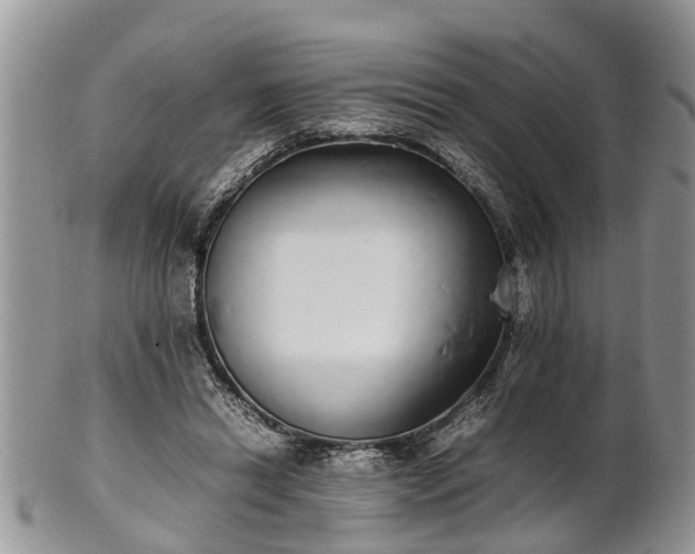 X0000102270446200808011431
