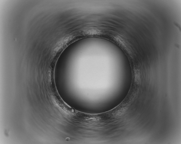 X0000102270447200808011431