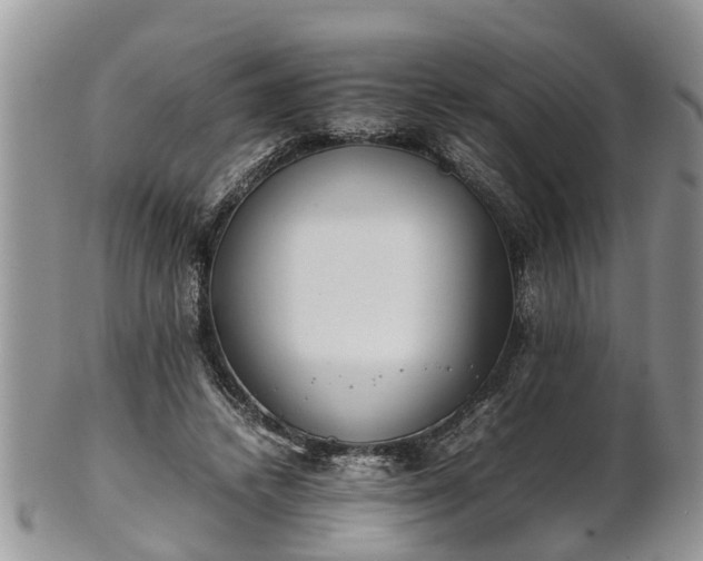 X0000102270448200808011431