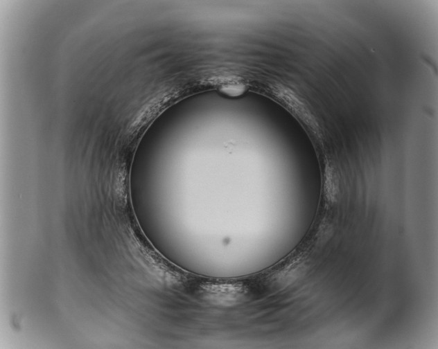 X0000102270449200808011431