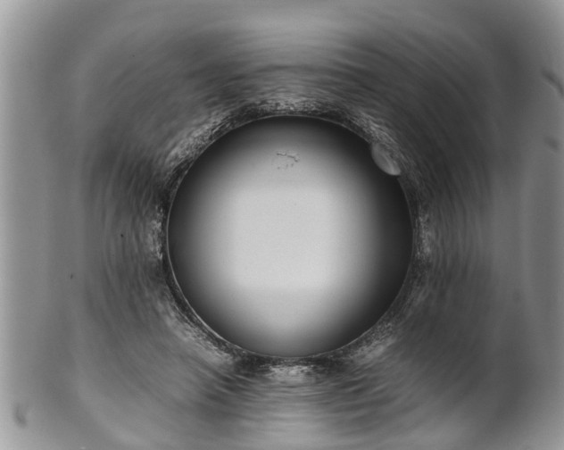 X0000102270450200808011431