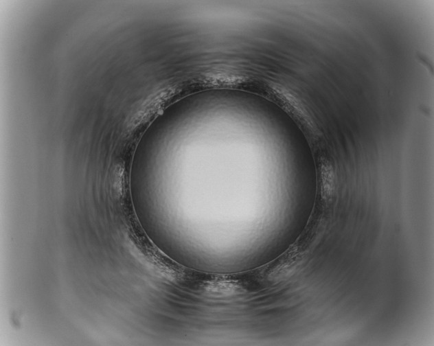 X0000102270451200808011431