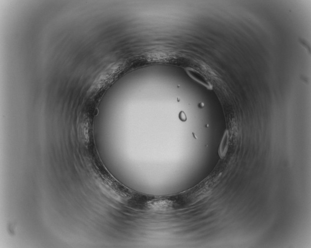 X0000102270452200808011431