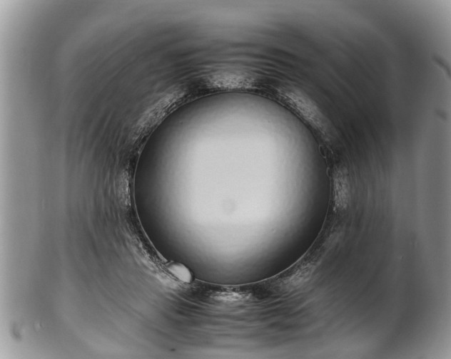 X0000102270453200808011431