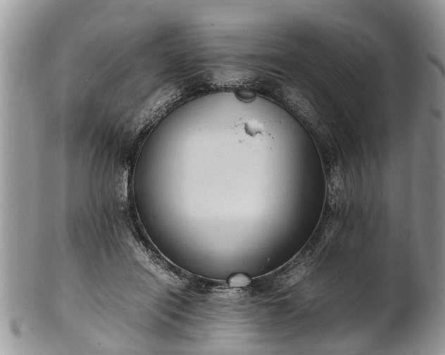 X0000102270454200808011431