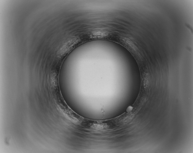 X0000102270455200808011431