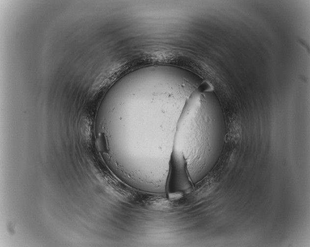 X0000102270456200808011431