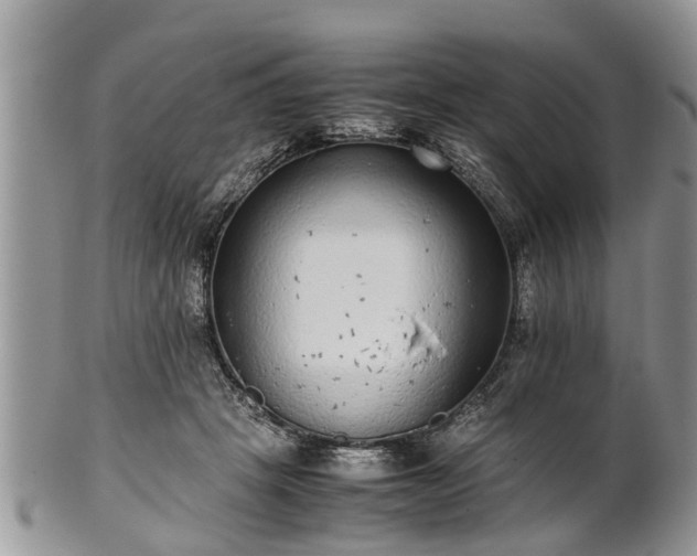 X0000102270457200808011431
