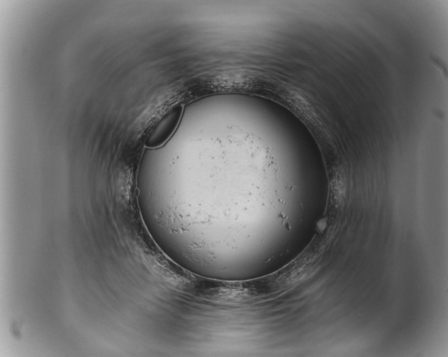 X0000102270458200808011431