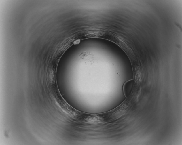 X0000102270459200808011431