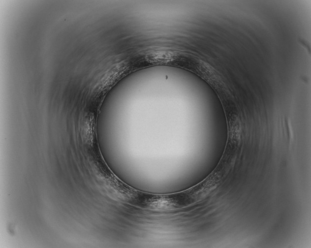 X0000102270460200808011431