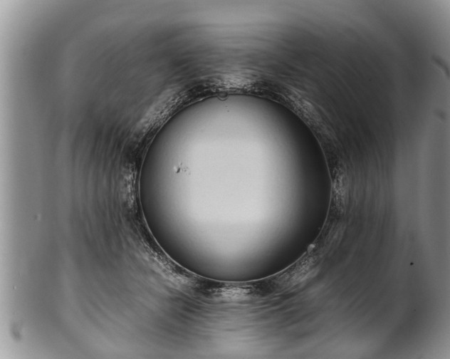 X0000102270462200808011431