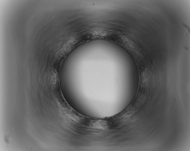 X0000102270463200808011431