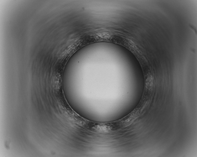 X0000102270464200808011431
