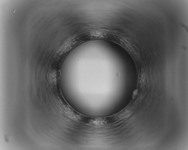 X0000102270466200808011431