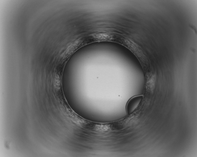 X0000102270469200808011431