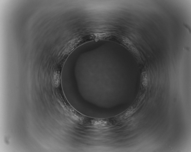 X0000102270471200808011431