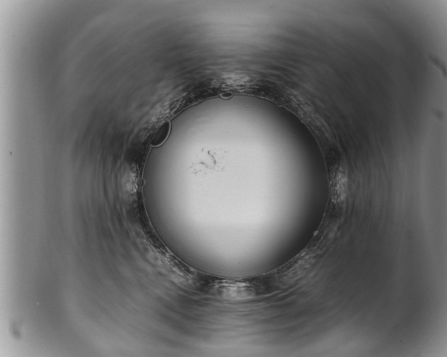 X0000102270472200808011431