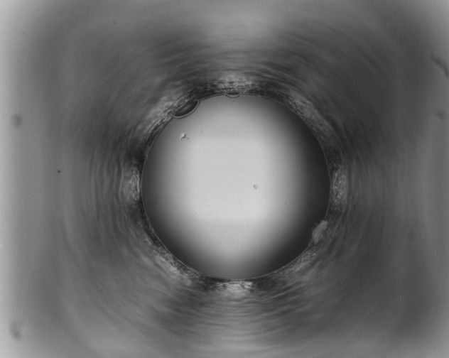 X0000102270474200808011431