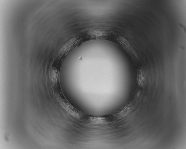 X0000102270476200808011431