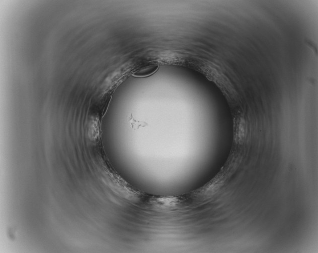 X0000102270478200808011431