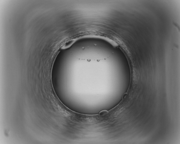 X0000102270481200808011431