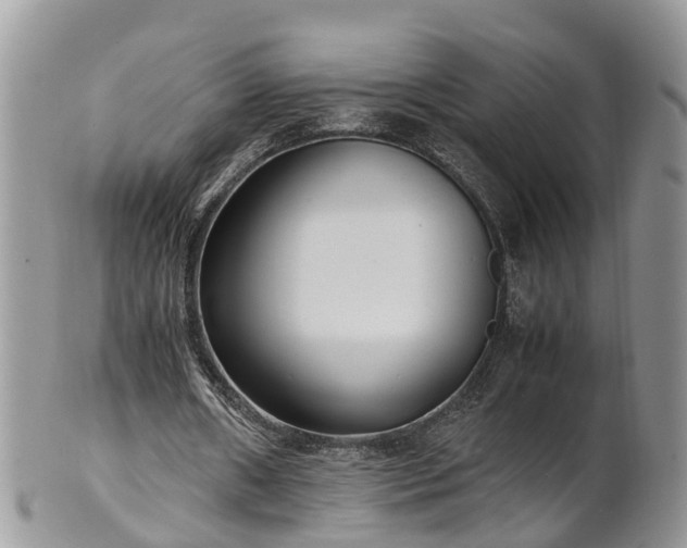 X0000102270482200808011431