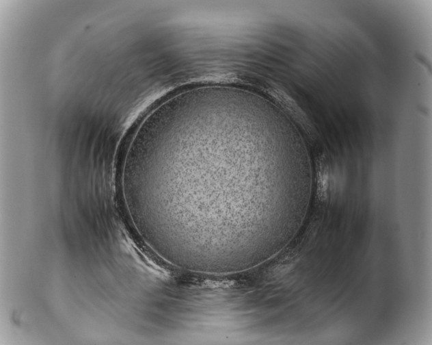 X0000102270484200808011431