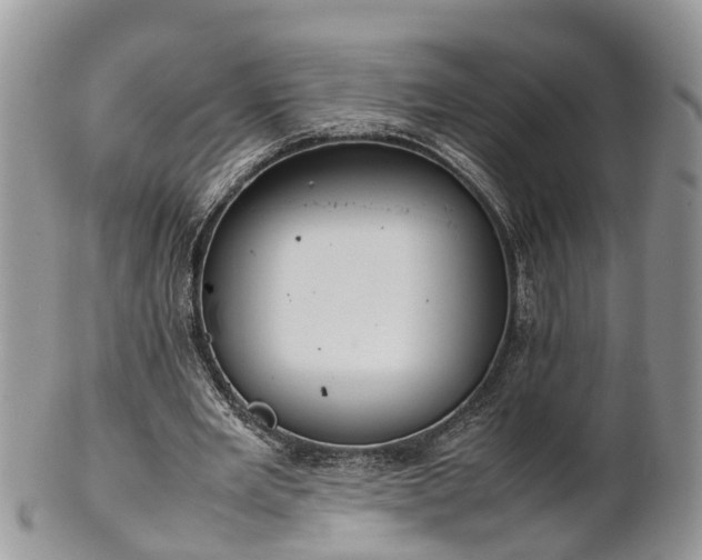 X0000102270485200808011431
