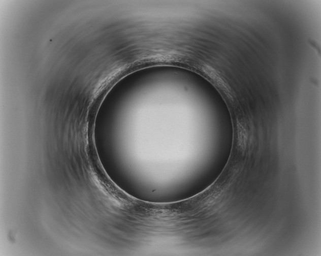 X0000102270486200808011431