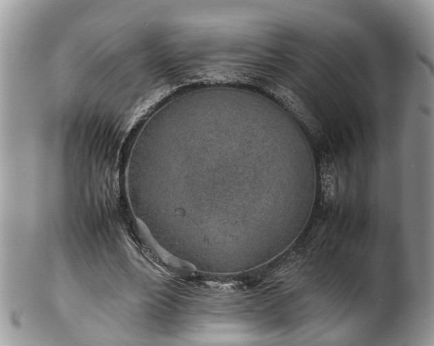 X0000102270488200808011431