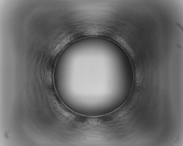 X0000102270489200808011431