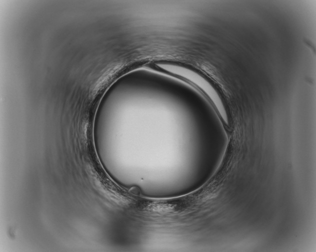 X0000102270491200808011430