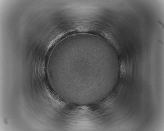 X0000102270492200808011430