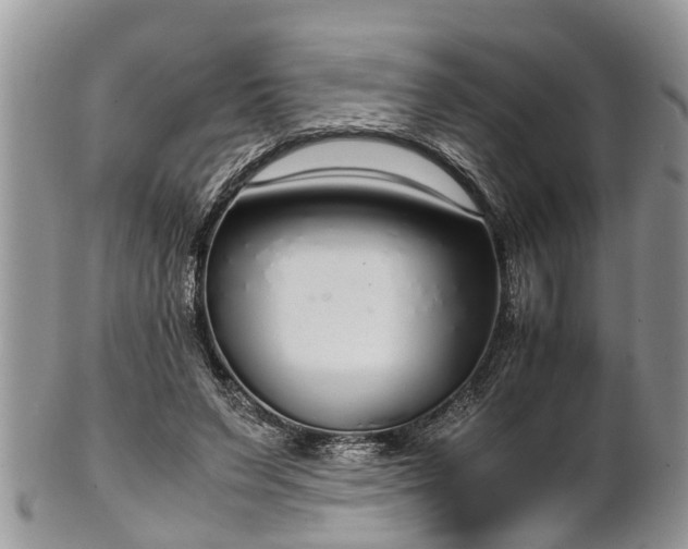 X0000102270495200808011430