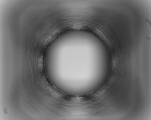 X0000102270497200808011430
